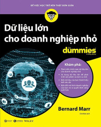 Dữ liệu lớn cho doanh nghiệp nhỏ for dummies